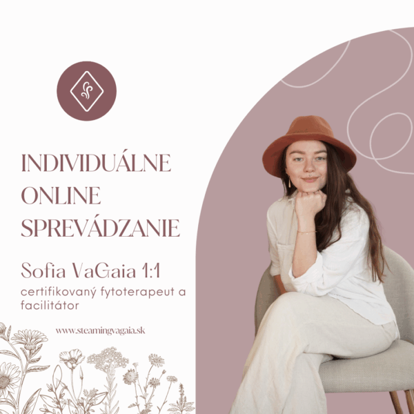 Individuální doprovázení