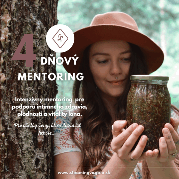Hloubkový mentoring | balíček sezení