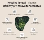 Prenatal | komplexní podpora pro ženy během těhotenství